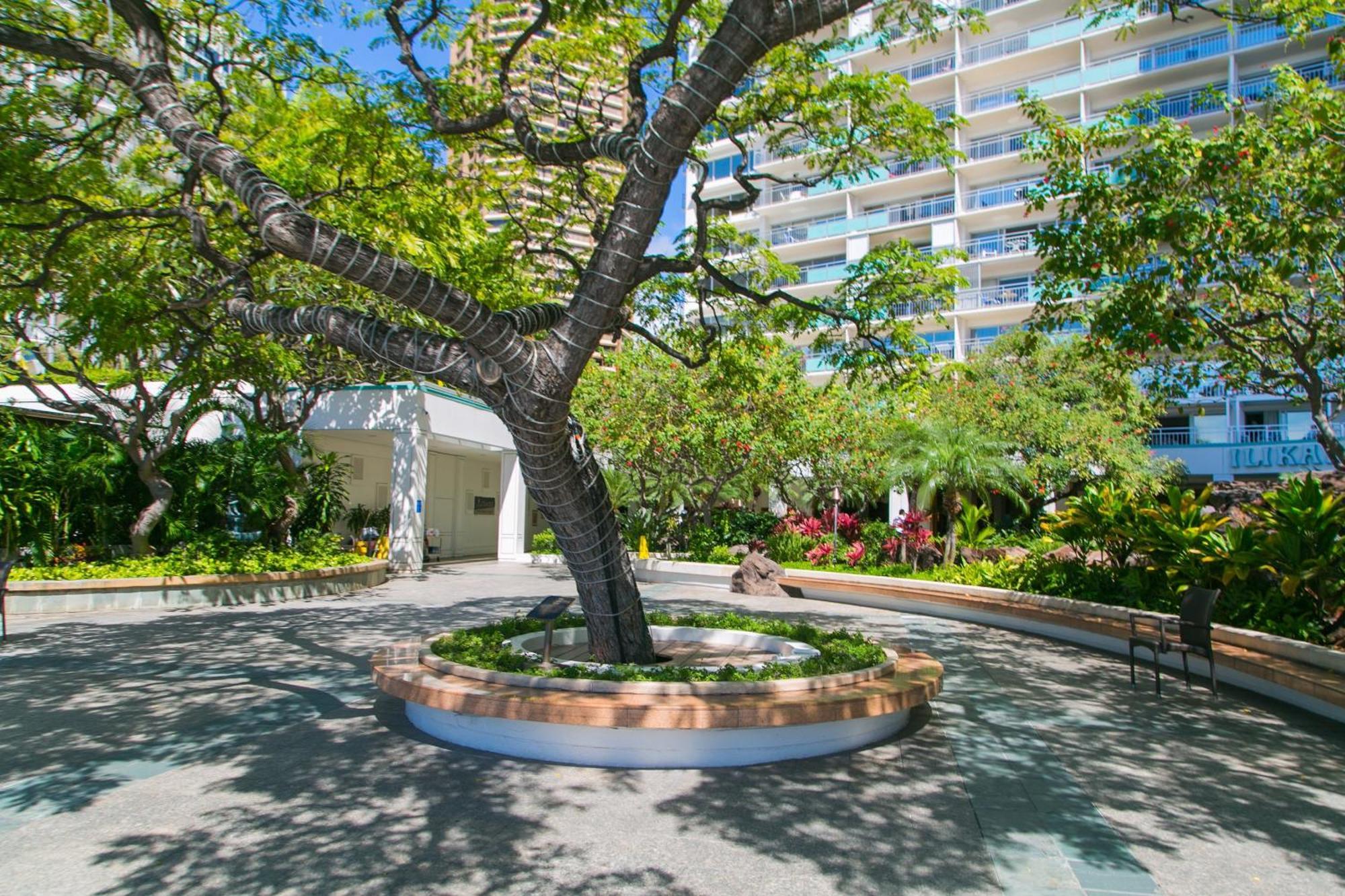Ilikai Tower 1403 City View 1BR Honolulu Bagian luar foto